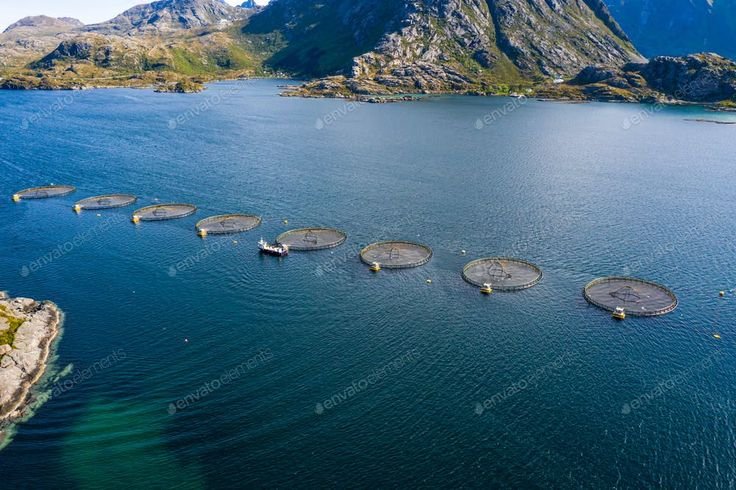 Noruega continúa apostando al crecimiento de la acuicultura sostenible y tecnológica