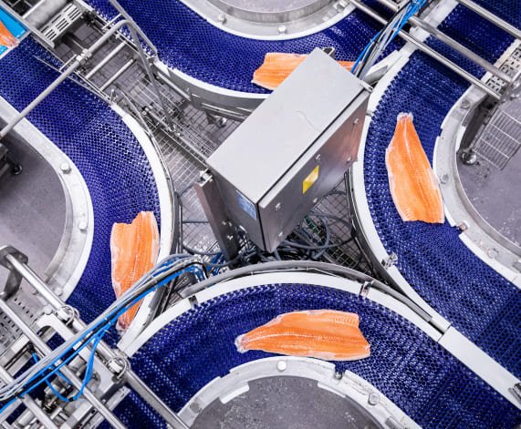La empresa Mowi impulsa la inteligencia artificial para optimizar la producción de salmón y anticipar riesgos ambientales