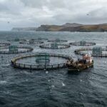 Malvinas: un megaproyecto salmonero divide a los habitantes y desata un firme reclamo de referéndum